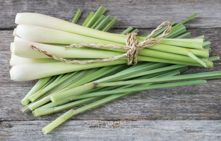 [General] 10+ How to make toilets and bathrooms out of bad smell effectively, easy to implement Picture 5